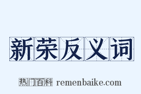 新荣反义词是什么意思的图片